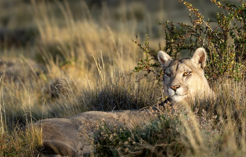 From a past Art of Seeing Patagonia photography adventure