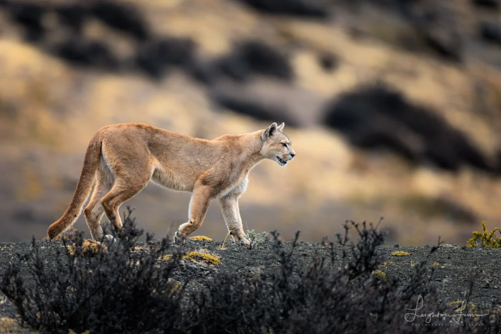 From a past Art of Seeing Patagonia photography adventure