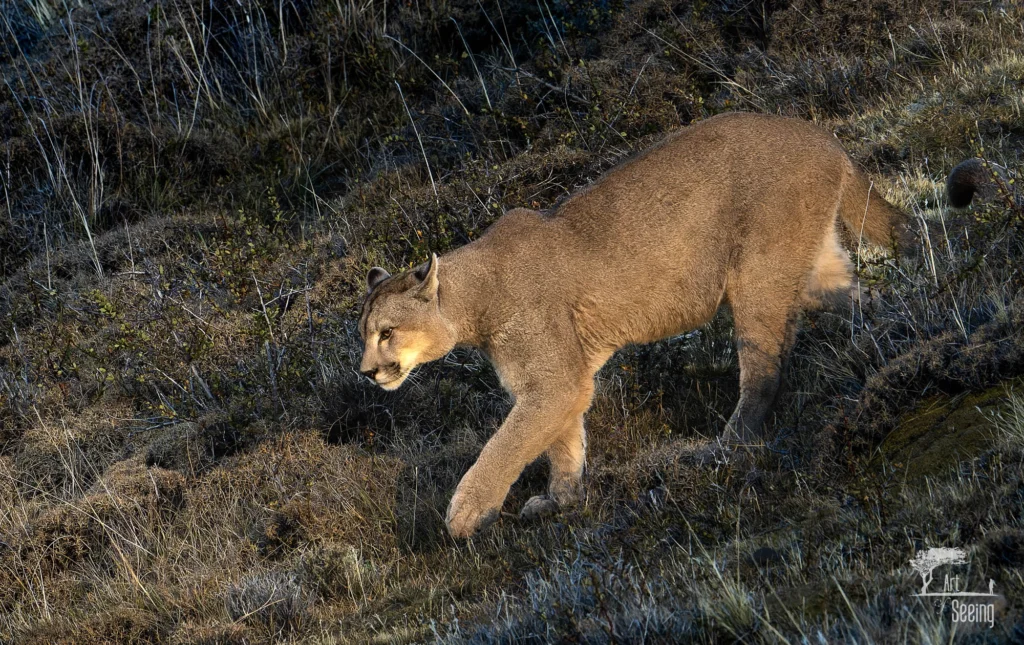 From a past Art of Seeing Patagonia photography adventure