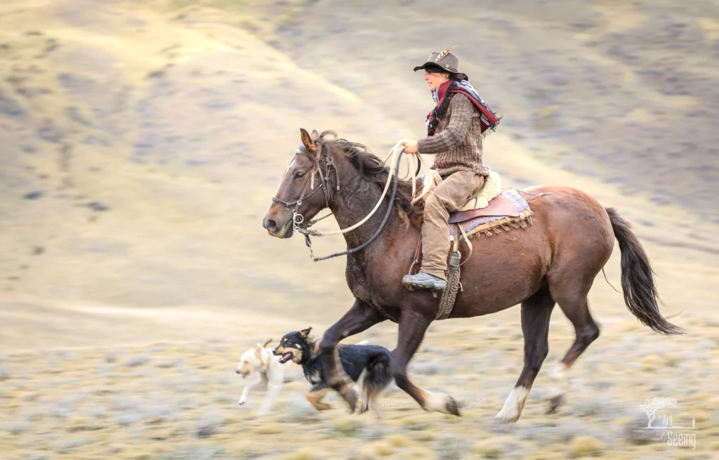 From a past Art of Seeing Patagonia photography adventure