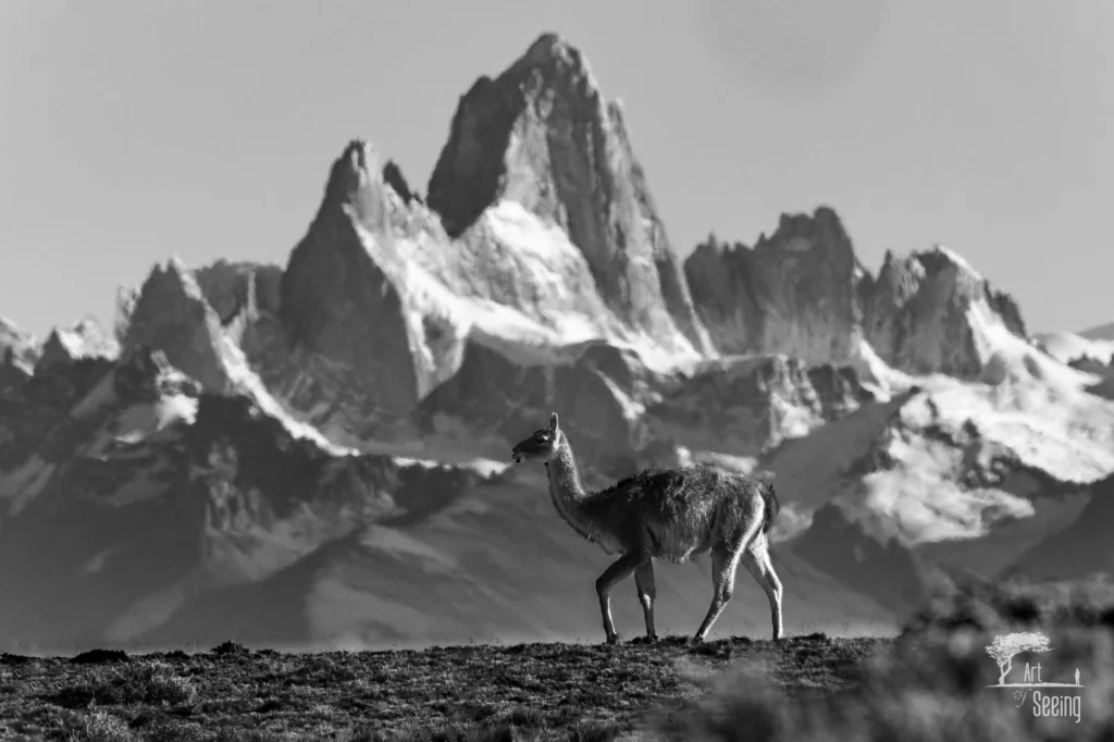 From a past Art of Seeing Patagonia photography adventure