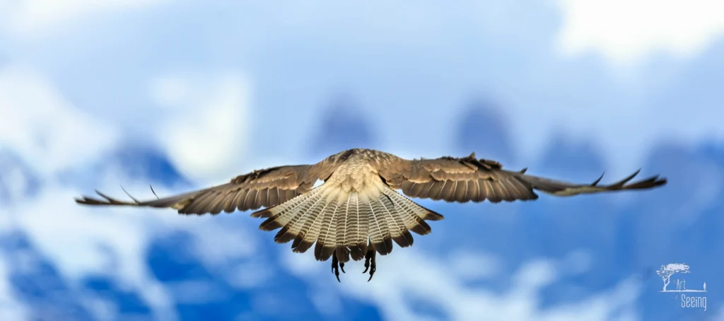 From a past Art of Seeing Patagonia photography adventure
