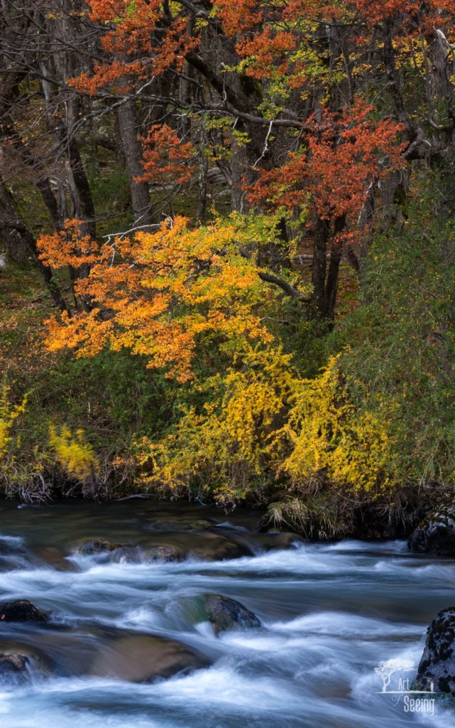 From a past Art of Seeing Patagonia photography adventure