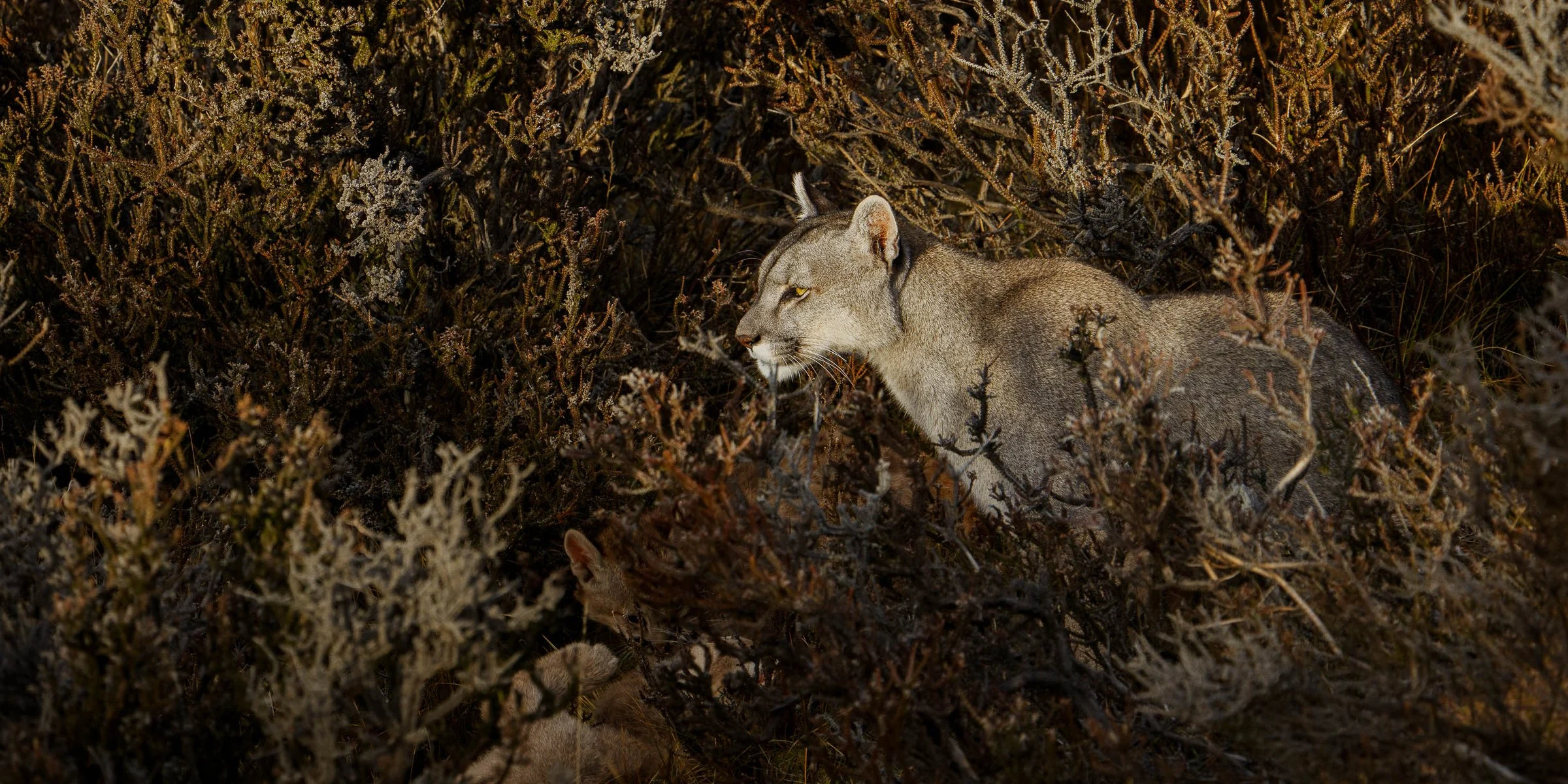 From a past Art of Seeing Patagonia photography adventure