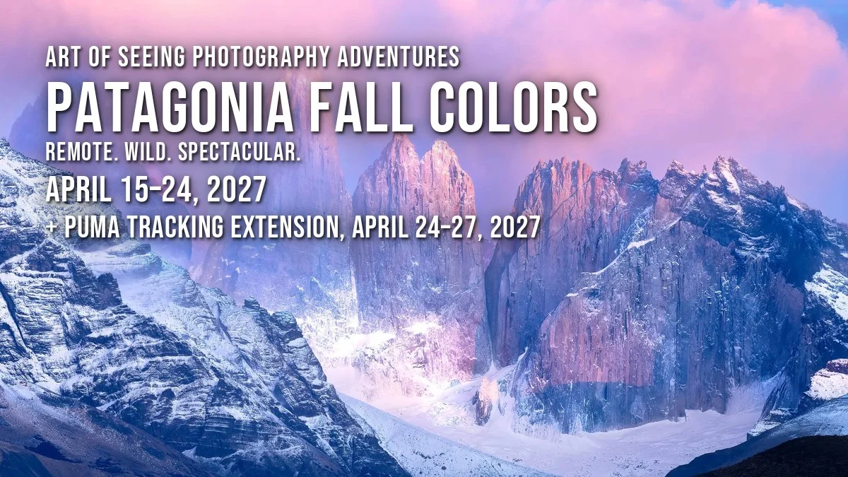 Patagonia Fall Colors 2027