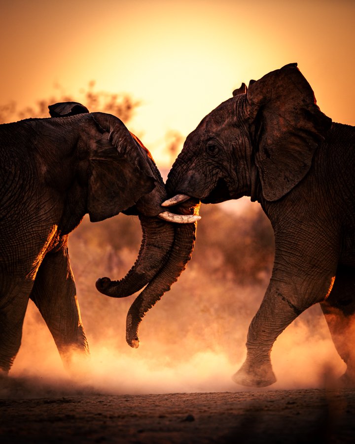 A photograph by Randall Ball