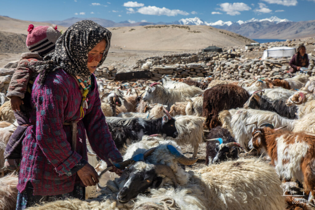 A photograph from the 2018 Art of Seeing Ladakh Scouting Mission