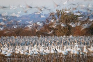 A photograph by Stephanie Hogue