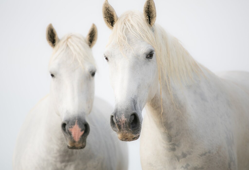 A photograph by Stephanie Hogue