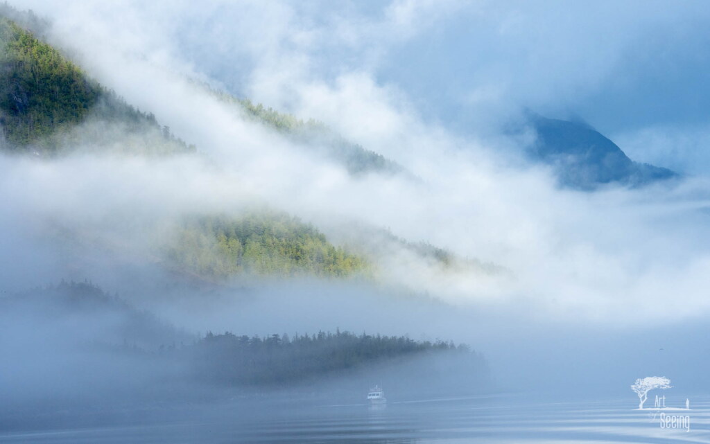 A photograph from an Art of Seeing Spirit Bears of the Great Bear Rainforest workshop