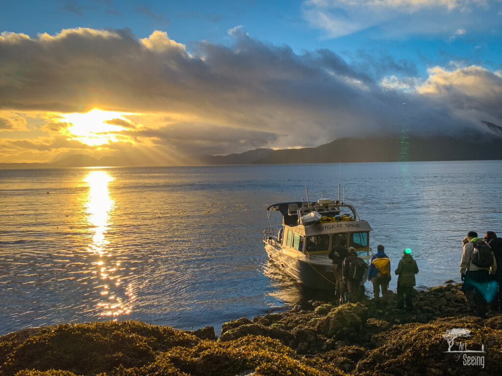 A photograph from an Art of Seeing Spirit Bears of the Great Bear Rainforest workshop