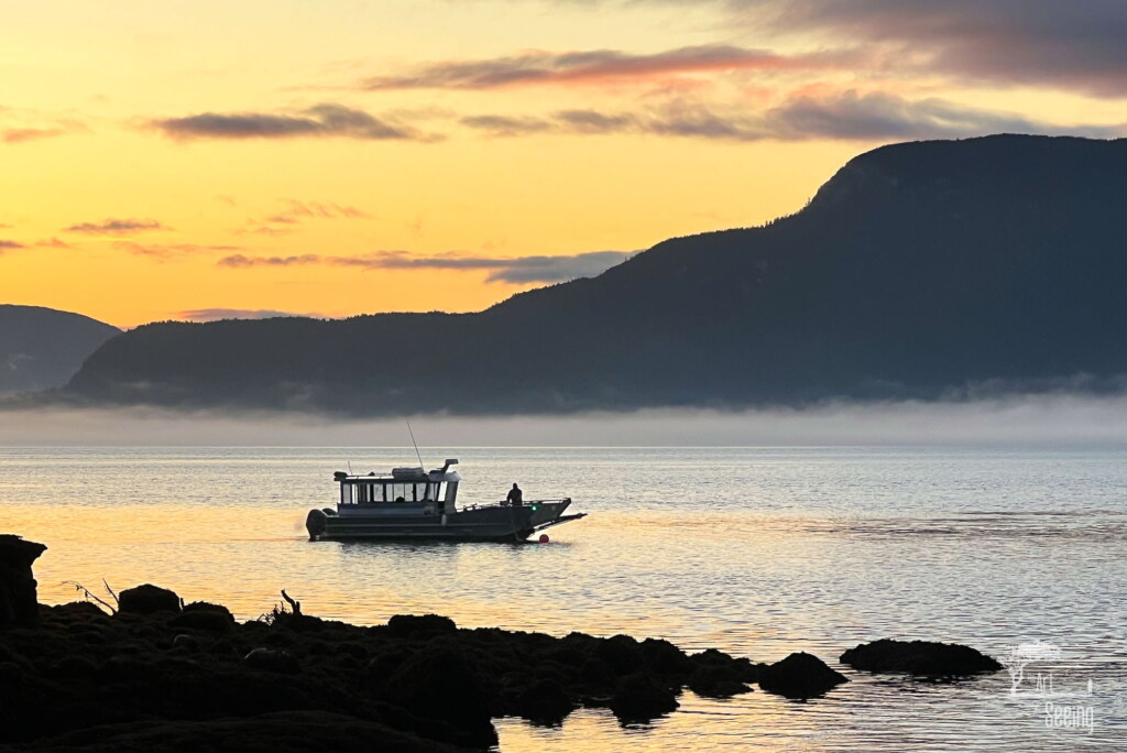 A photograph from an Art of Seeing Spirit Bears of the Great Bear Rainforest workshop