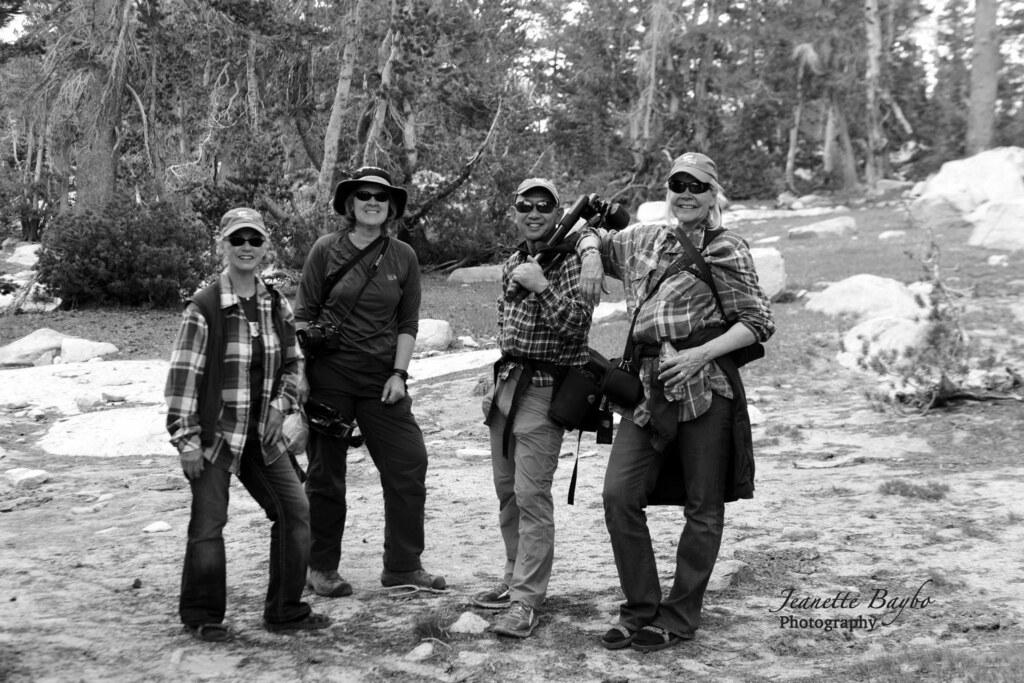 Four photographers with their cameras in a High Sierra aspen grove