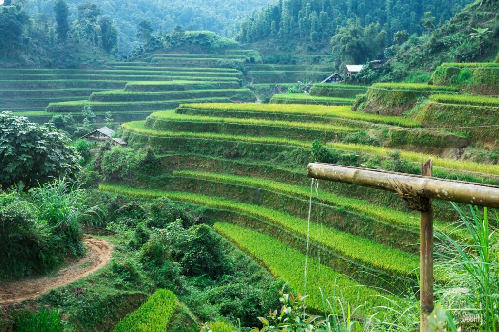 A photograph from an Art of Seeing Vietnam workshop or scouting mission