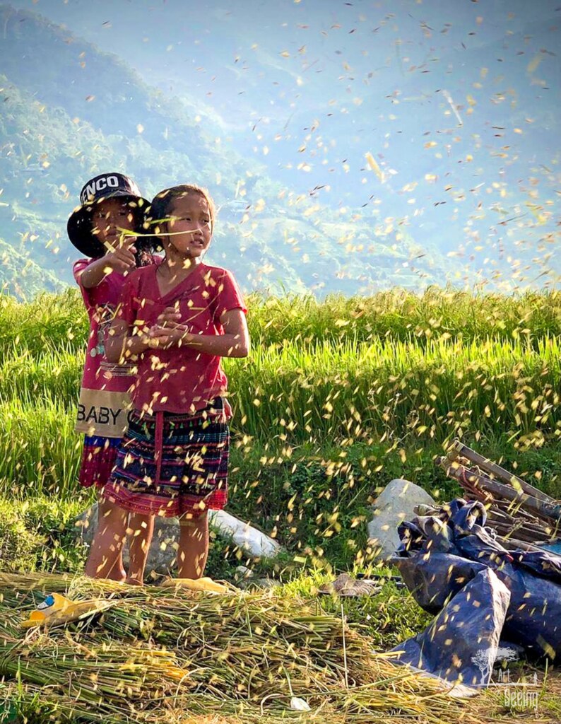 A photograph from an Art of Seeing Vietnam workshop or scouting mission