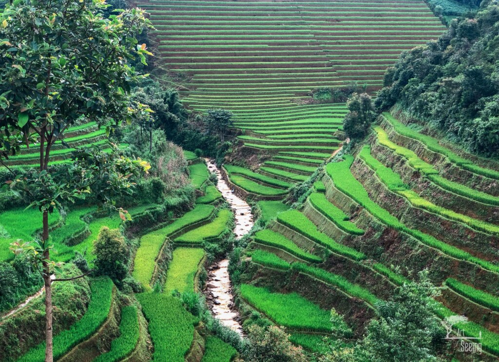 A photograph from an Art of Seeing Vietnam workshop or scouting mission