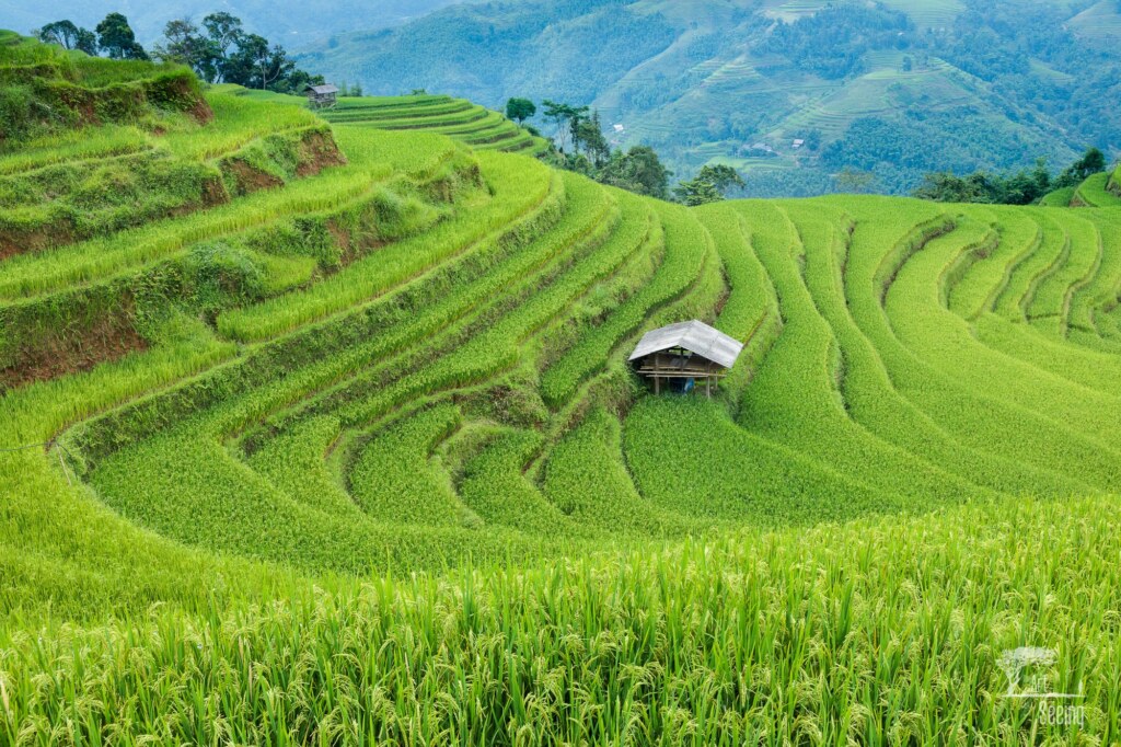 A photograph from an Art of Seeing Vietnam workshop or scouting mission