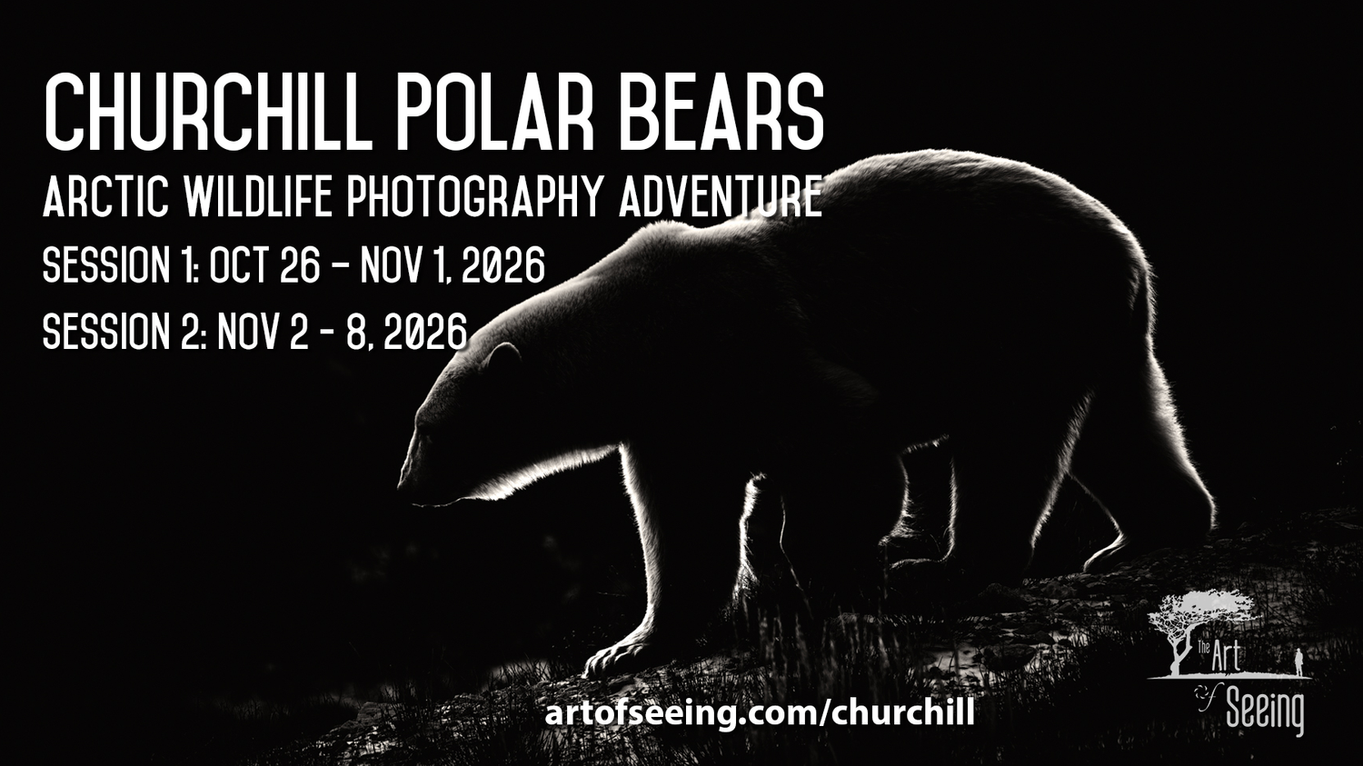 Churchill Polar Bears 2026