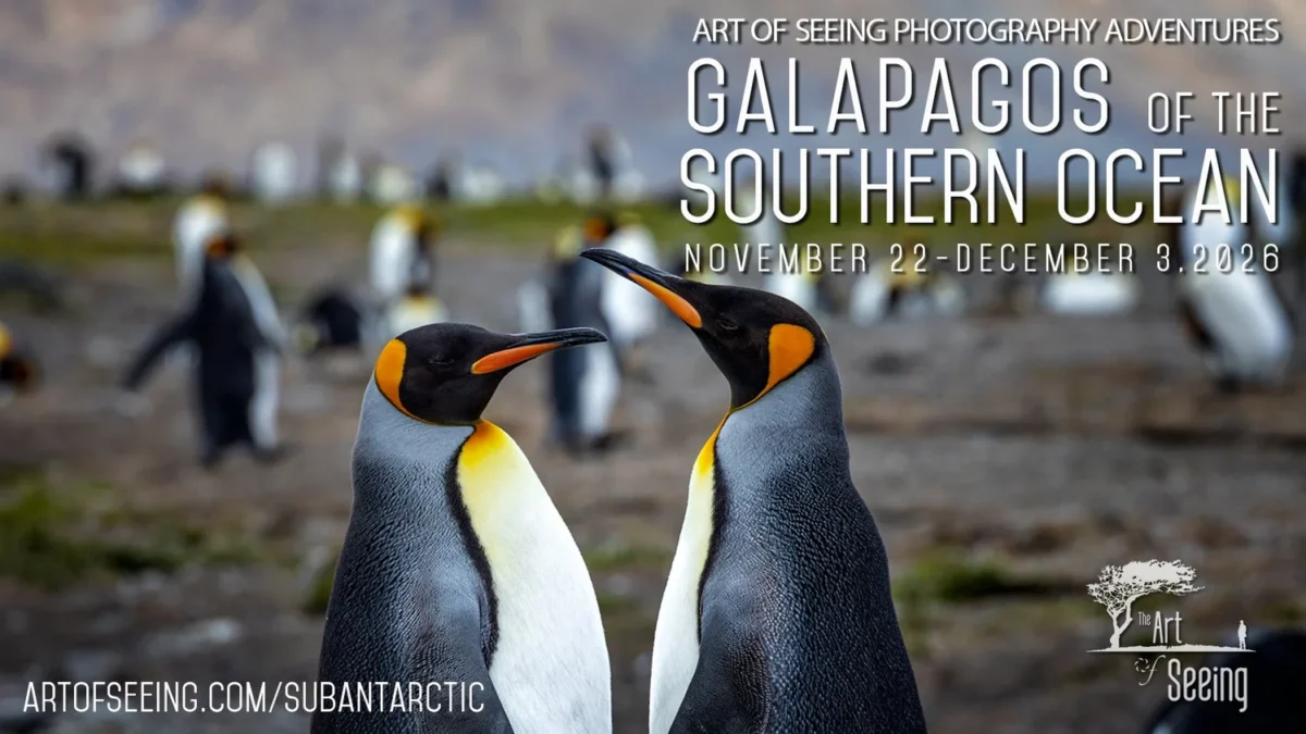 Galapagos of the Southern Ocean 2026