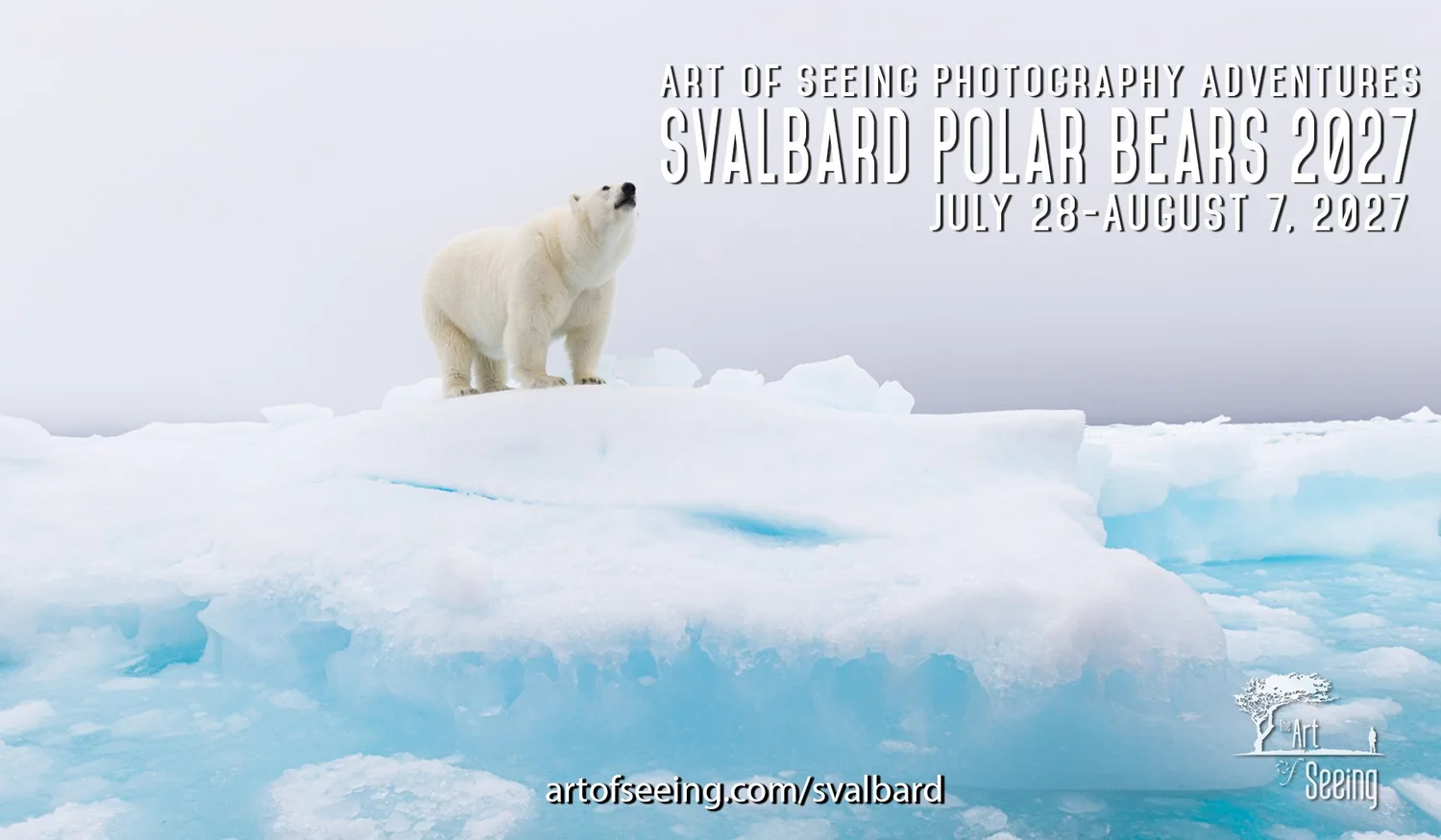 Svalbard Polar Bears 2027