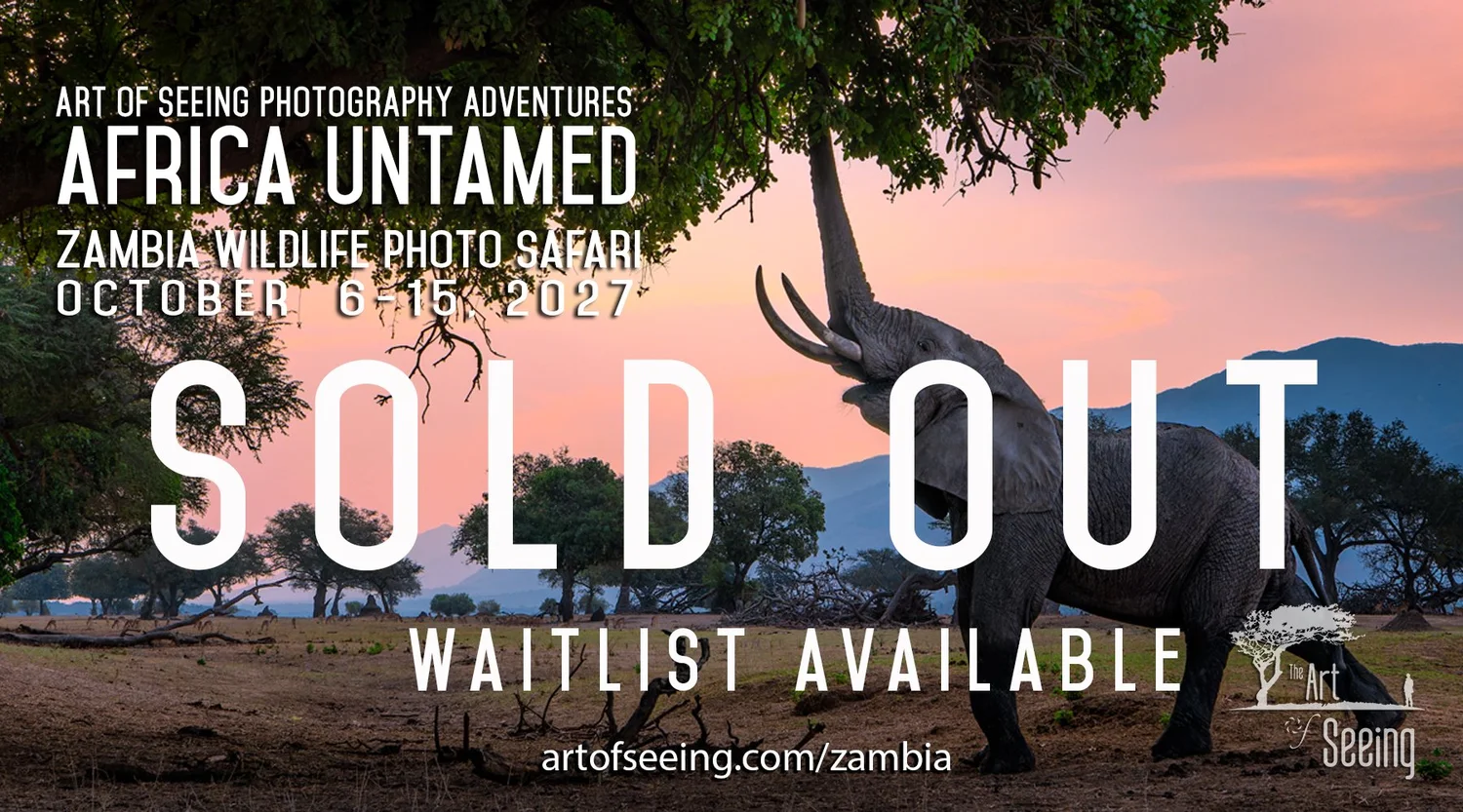 Africa Untamed 2027