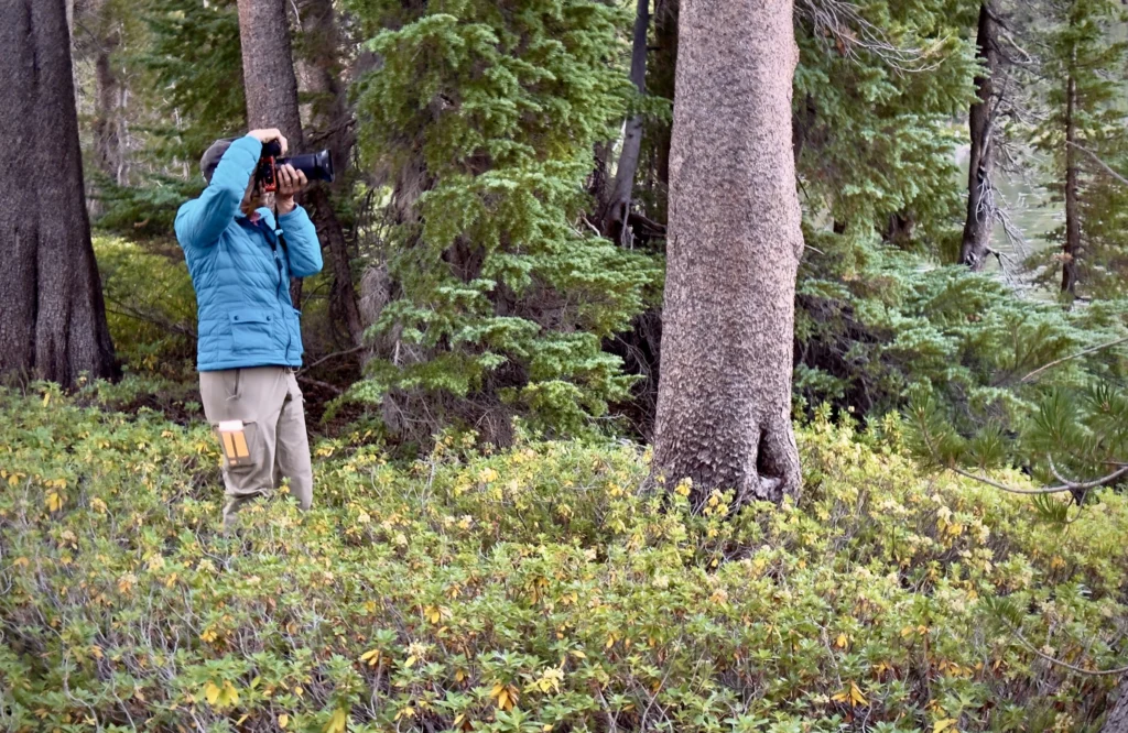 By Ken Lee and participants of the Art of Seeing High Sierra: Ansel Adams Wilderness photography adventure