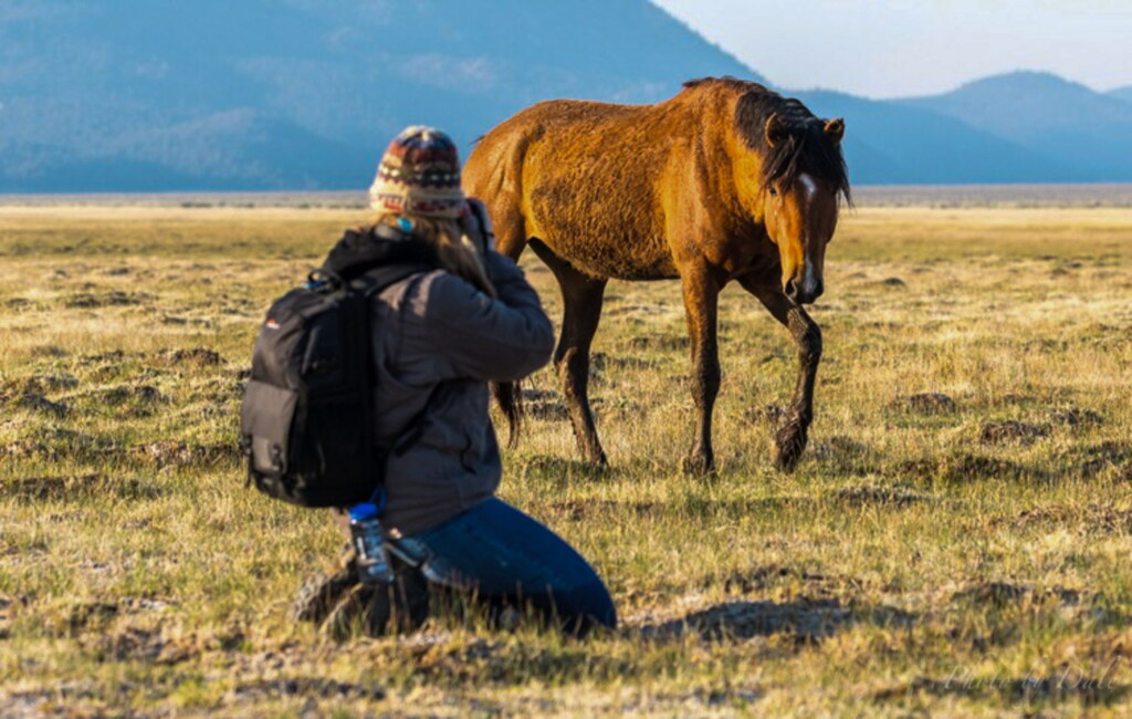 A photograph from an Art of Seeing Wild Mustangs of the Adobe Valley workshop