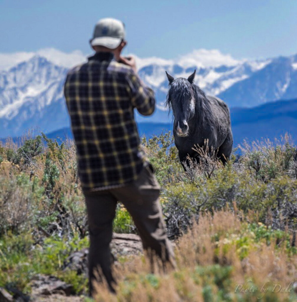 A photograph from an Art of Seeing Wild Mustangs of the Adobe Valley workshop