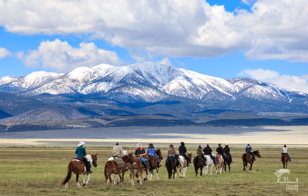 A photograph from an Art of Seeing Wild Mustangs of the Adobe Valley workshop