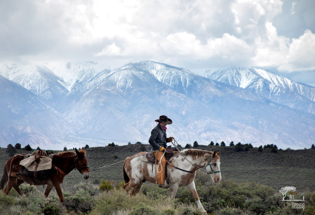A photograph from an Art of Seeing Wild Mustangs of the Adobe Valley workshop