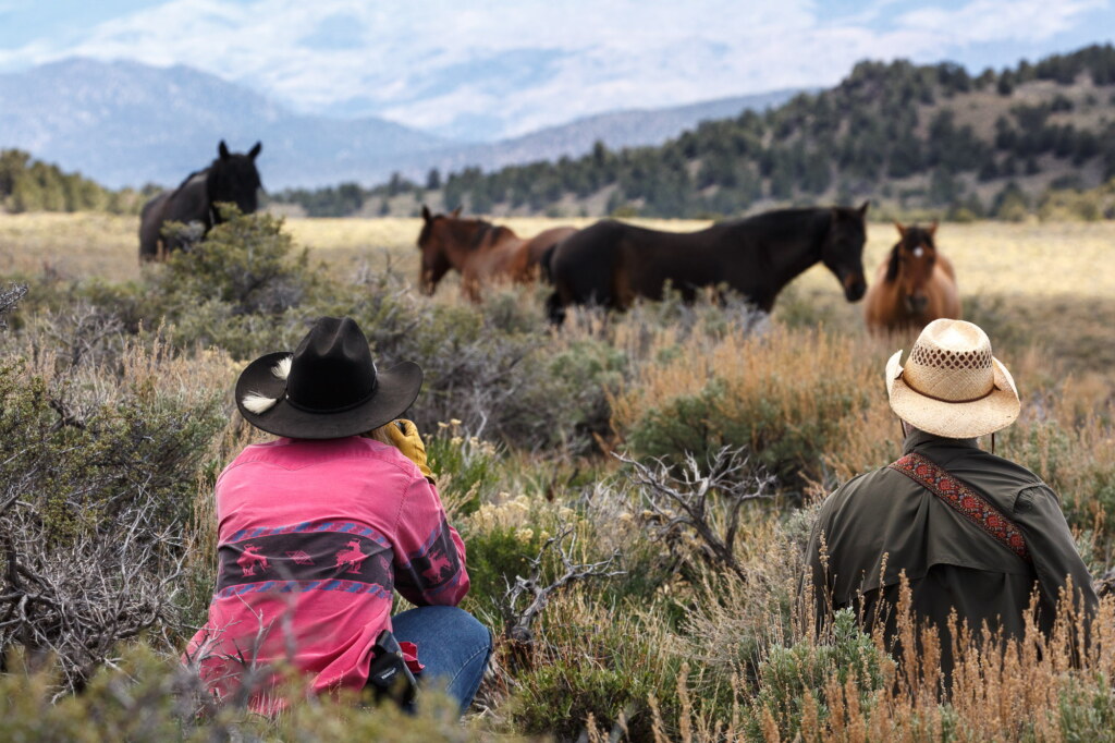 A photograph from an Art of Seeing Wild Mustangs of the Adobe Valley workshop