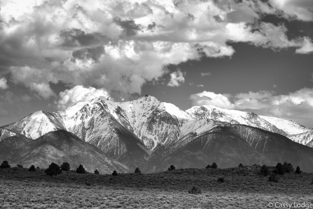A photograph from an Art of Seeing Wild Mustangs of the Adobe Valley workshop