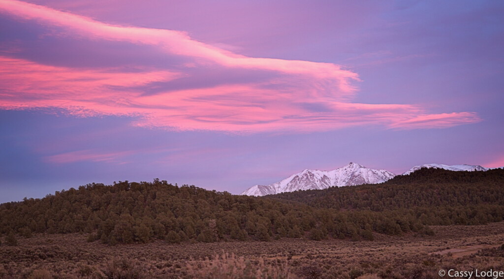 A photograph from an Art of Seeing Wild Mustangs of the Adobe Valley workshop