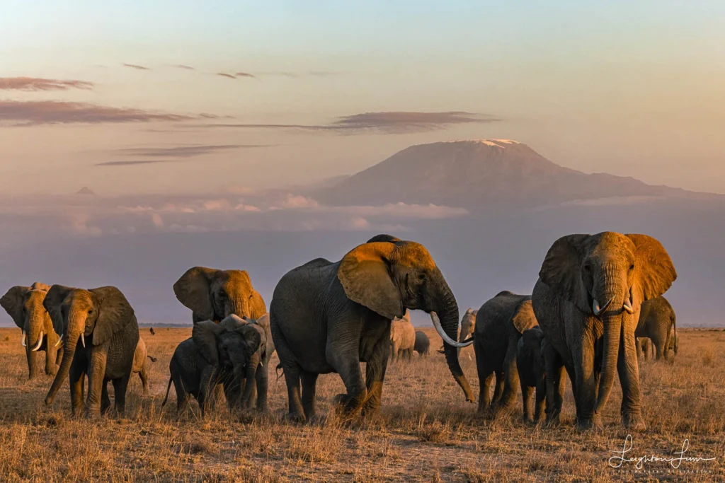 From a past Art of Seeing Africa Untamed adventure