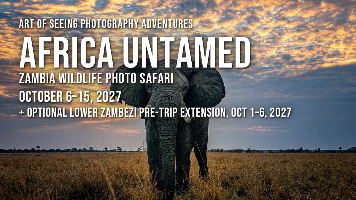 Africa Untamed 2027