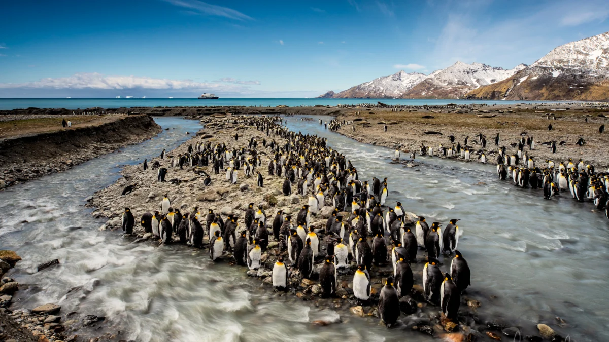 Photography on an Antarctica Cruise