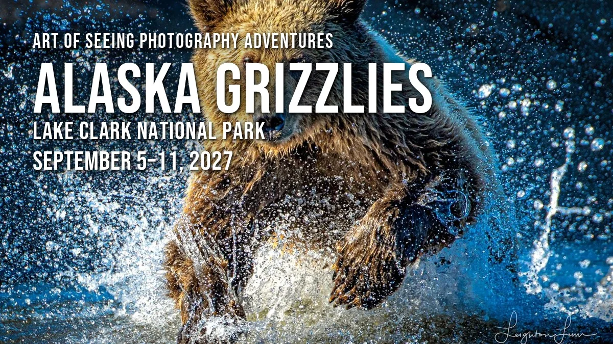Alaska Grizzlies 2027