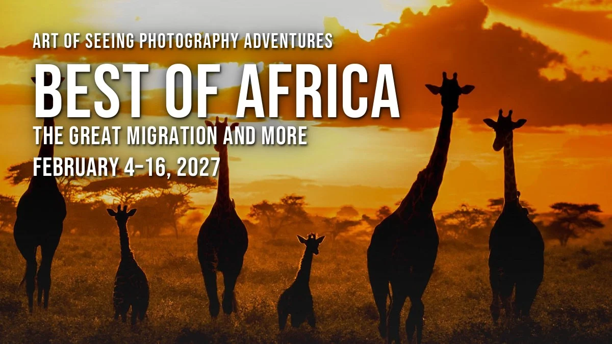 Best of Africa 2027